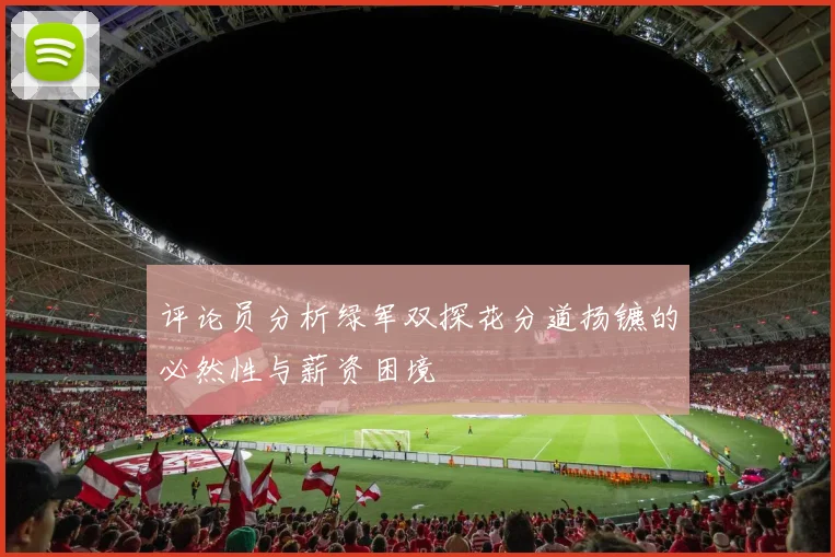 评论员分析绿军双探花分道扬镳的必然性与薪资困境