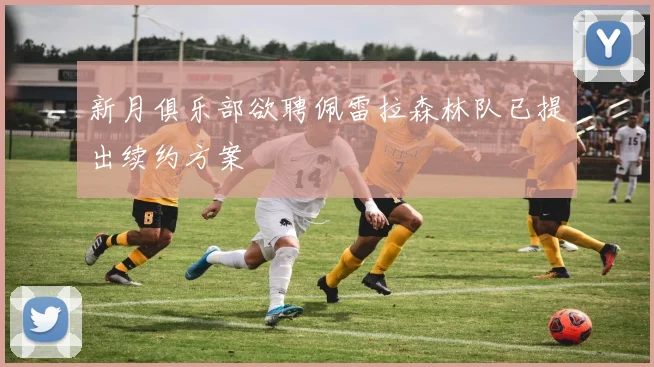 新月俱乐部欲聘佩雷拉森林队已提出续约方案