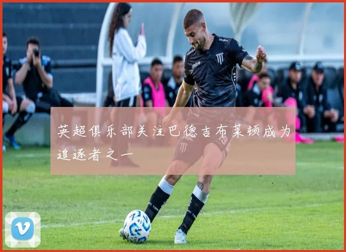 英超俱乐部关注巴德吉布莱顿成为追逐者之一